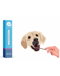 ae dogz tandenkrabber voor honden om tandsteen mee te verwijderen